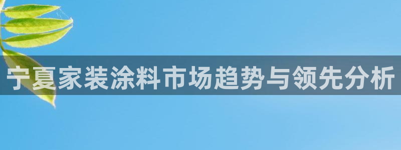 和记ag旗舰：宁夏家装涂料市场趋势与领先分析