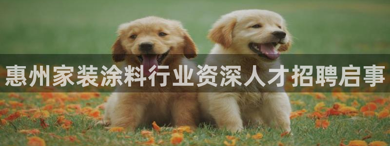 和记下载：惠州家装涂料行业资深人才招聘启事